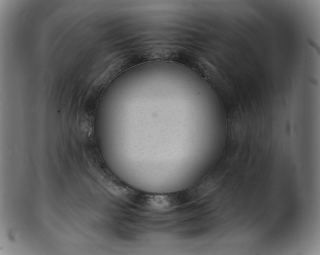 X0000101190091200807110955