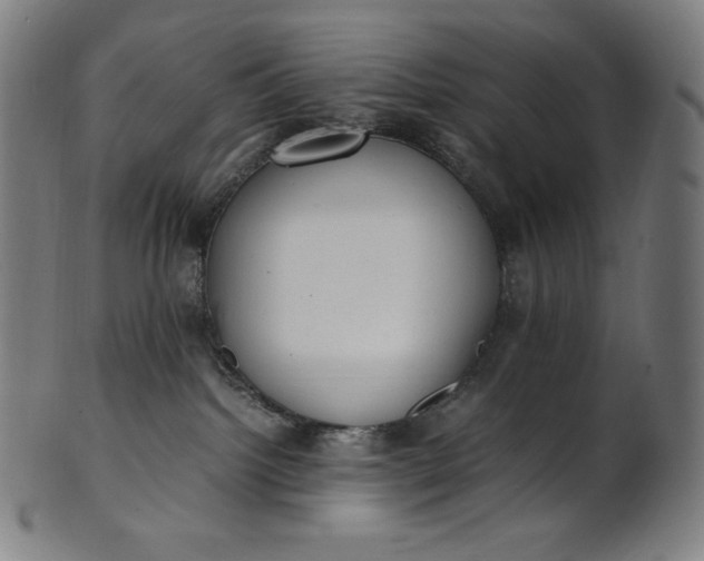 X0000101190092200807110955
