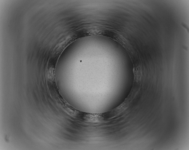 X0000101190093200807110955