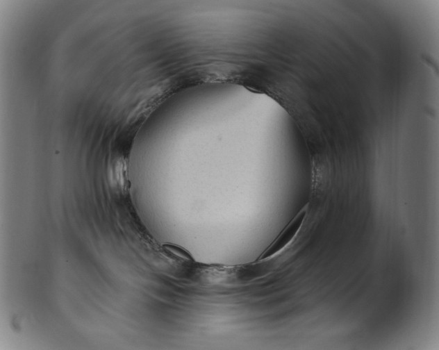 X0000101190094200807110955