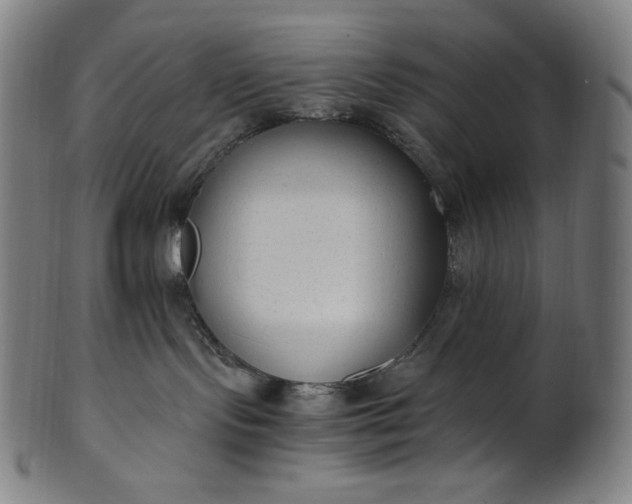 X0000101190095200807110955