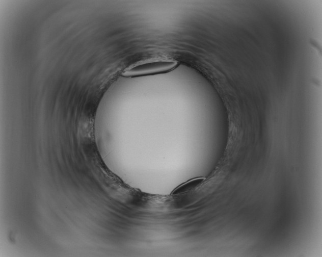 X0000101190096200807110955