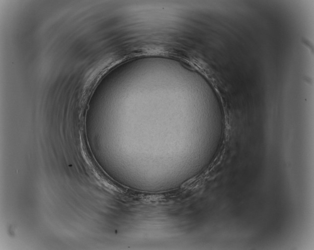 X0000101190097200807110954