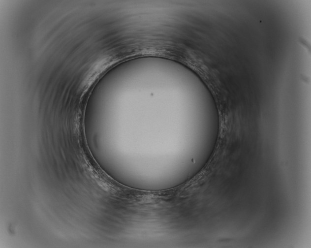 X0000101190098200807110954