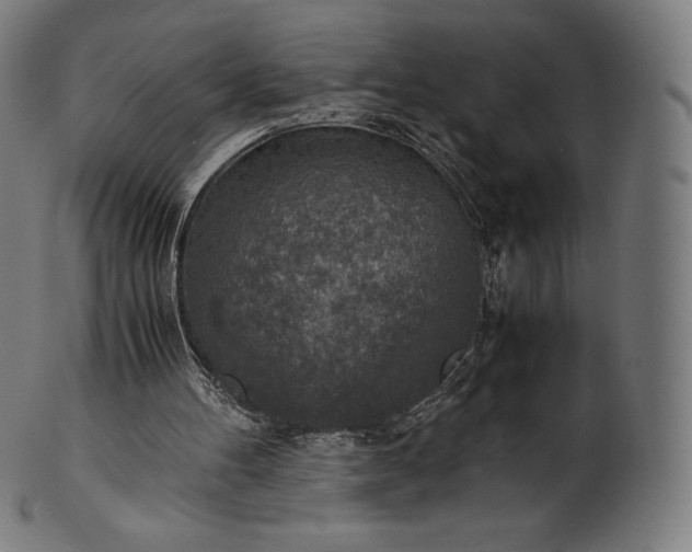 X0000101190100200807110954