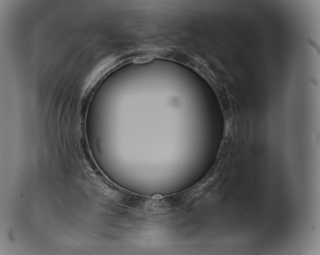 X0000101190101200807110954