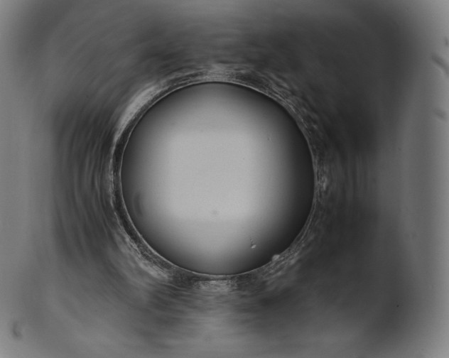 X0000101190102200807110954