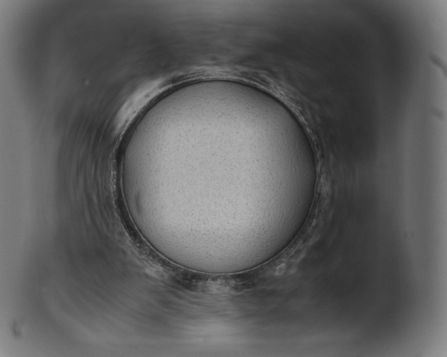 X0000101190103200807110954