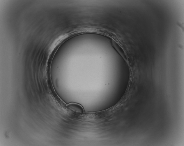 X0000101190104200807110954