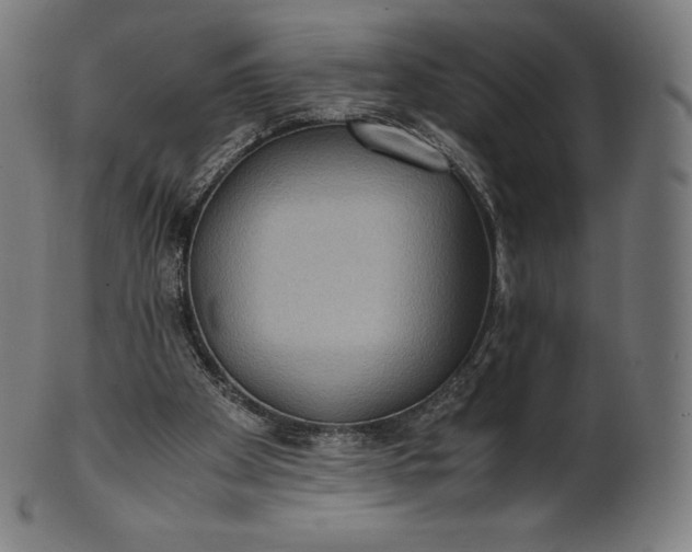 X0000101190105200807110954