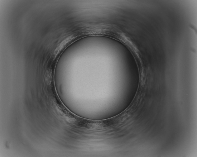 X0000101190107200807110954