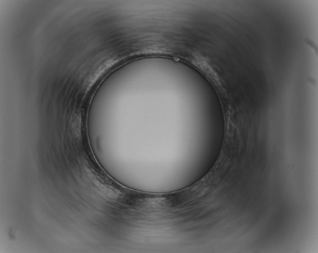 X0000101190108200807110954