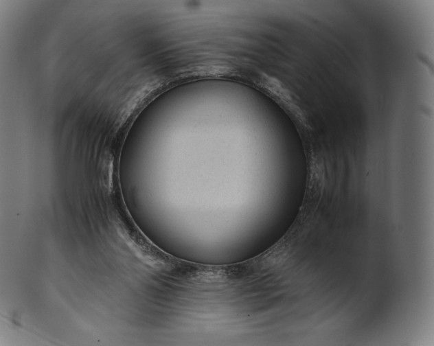 X0000101190110200807110954