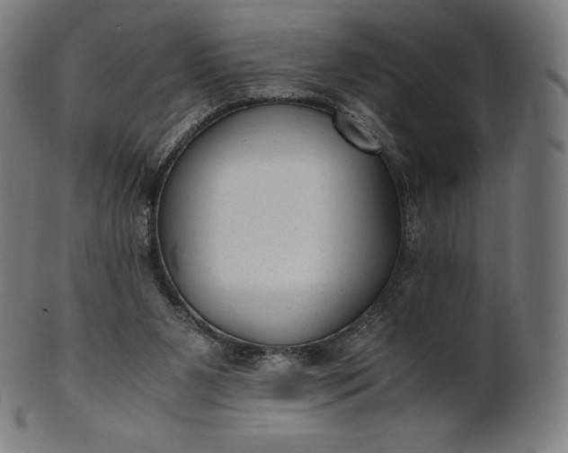 X0000101190111200807110954