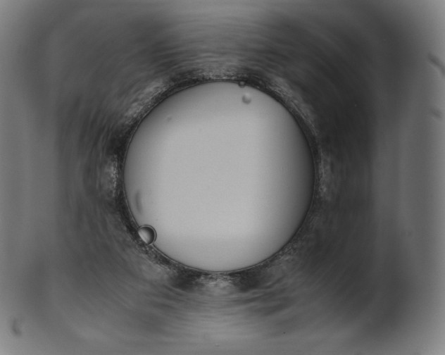 X0000101190113200807110954