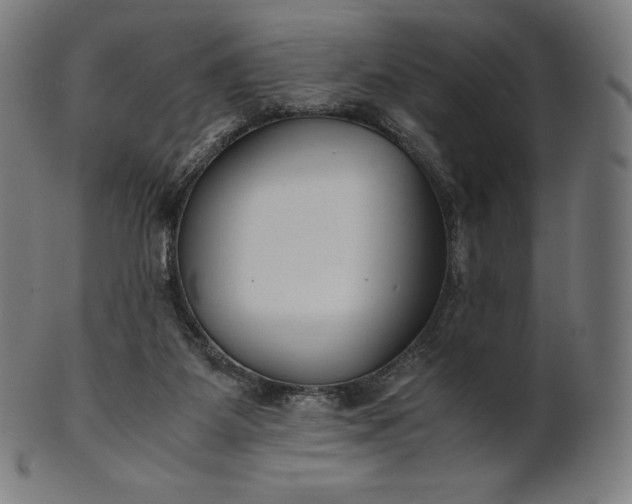 X0000101190115200807110954