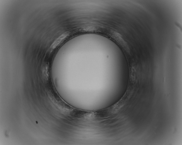 X0000101190116200807110954