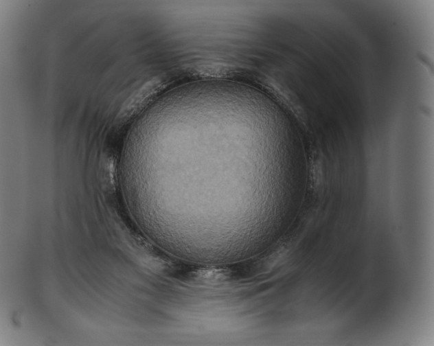 X0000101190117200807110954