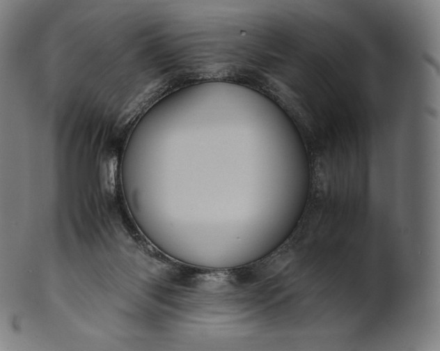 X0000101190118200807110954