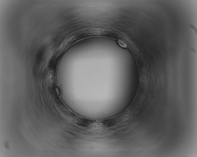 X0000101190119200807110954