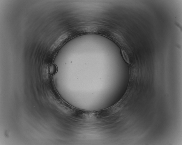 X0000101190120200807110954