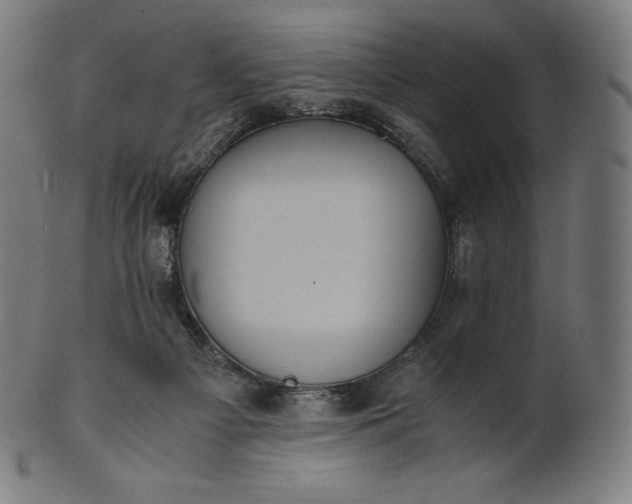 X0000101190121200807110954
