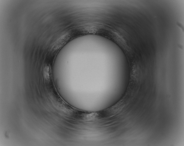X0000101190122200807110954