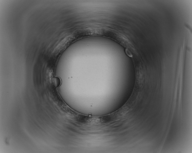 X0000101190123200807110954