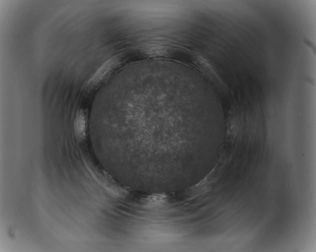 X0000101190124200807110954