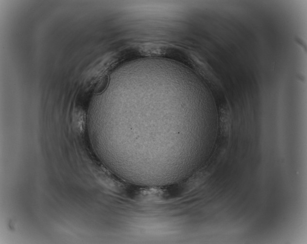 X0000101190125200807110954