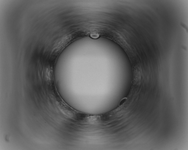 X0000101190126200807110954