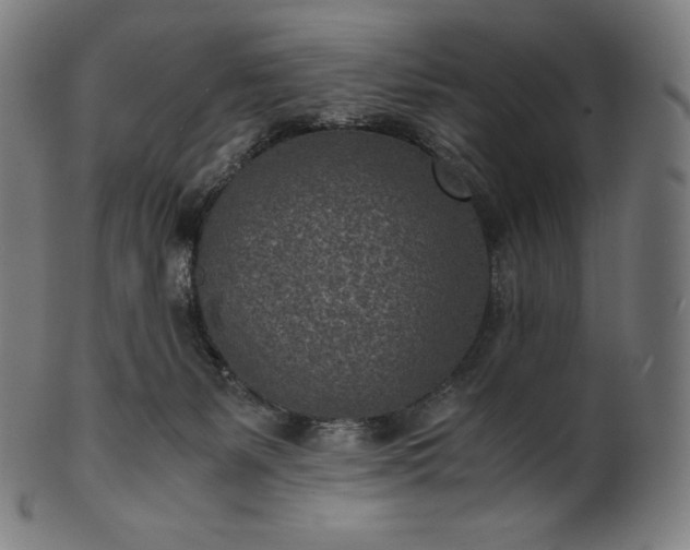 X0000101190127200807110954