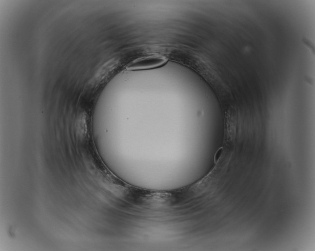 X0000101190128200807110954