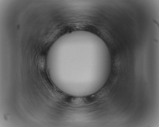 X0000101190129200807110954