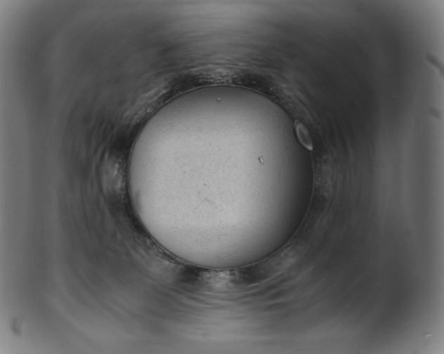 X0000101190131200807110954