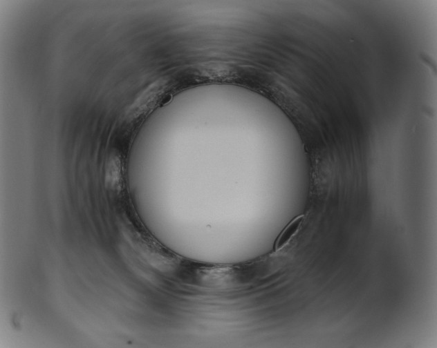 X0000101190132200807110954