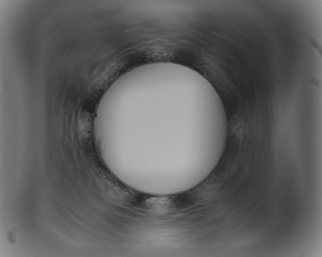 X0000101190133200807110954