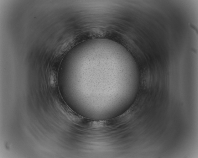 X0000101190134200807110954