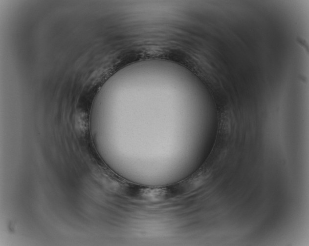 X0000101190135200807110954