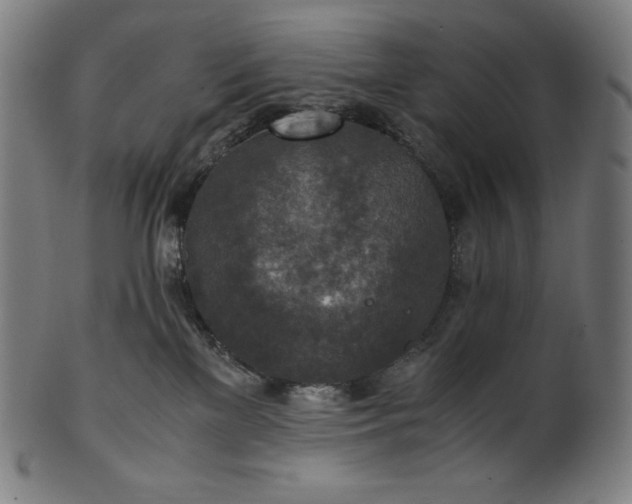 X0000101190137200807110954