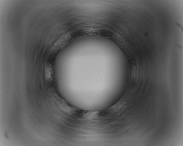 X0000101190138200807110954