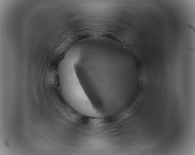 X0000101190139200807110954