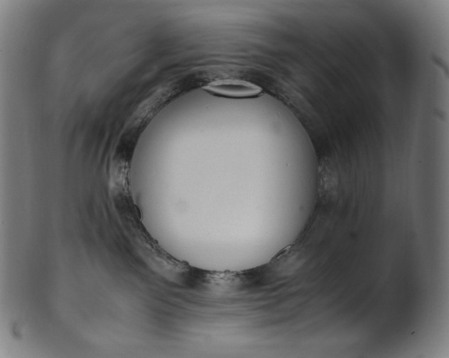 X0000101190141200807110954