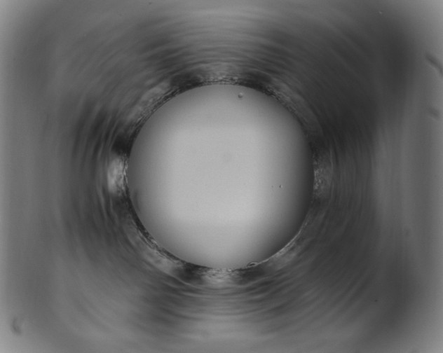 X0000101190142200807110954
