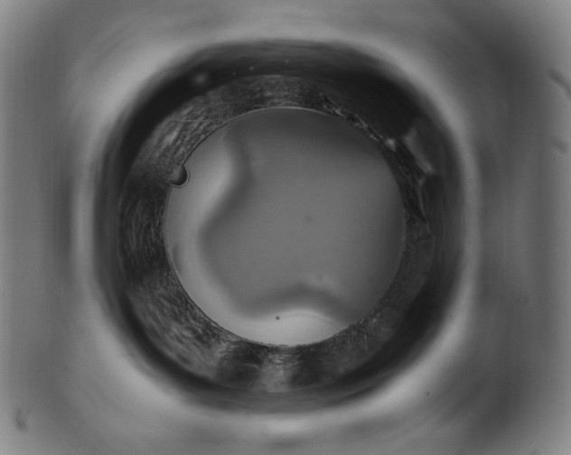 X0000101190143200807110954