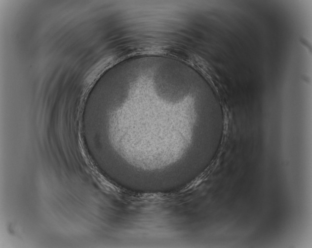 X0000101190145200807110953