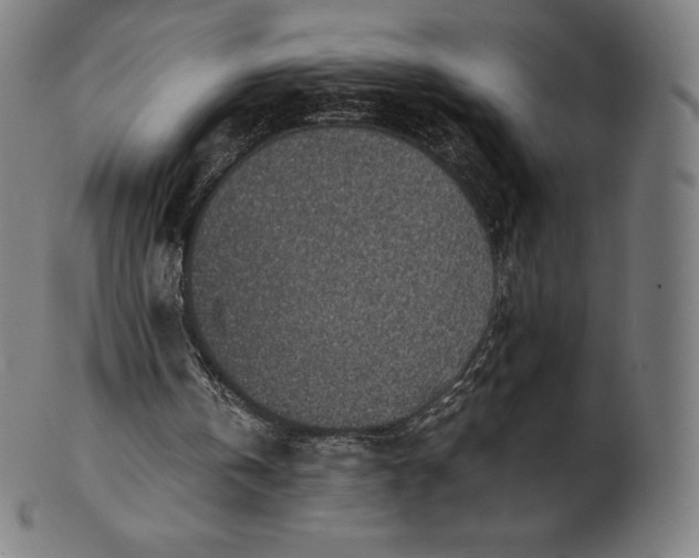 X0000101190146200807110953