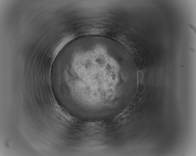 X0000101190147200807110953