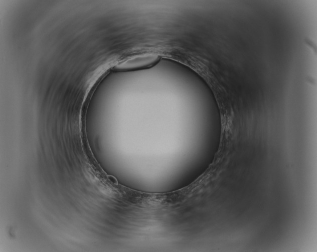 X0000101190148200807110953