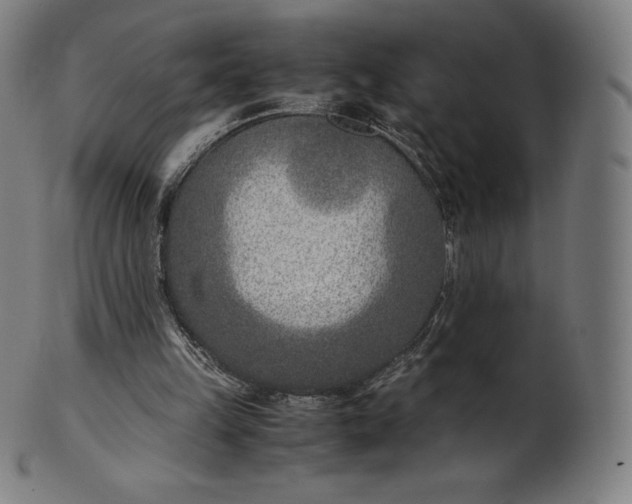 X0000101190149200807110953